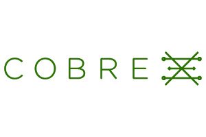 Cobre_200x300px