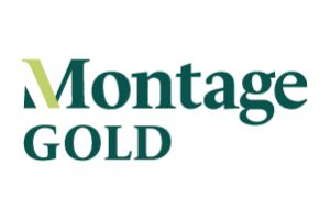 Montage-Gold-200x300px.jpg