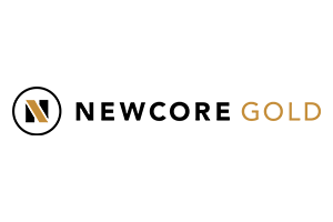 newcore gold_300x200