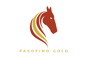 pasofino gold_300x200