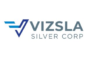 Vizsla-Silver-Corp-200x300px.jpg