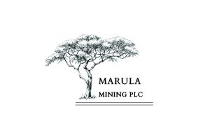 Artboard-1Marula_300x200px.jpeg