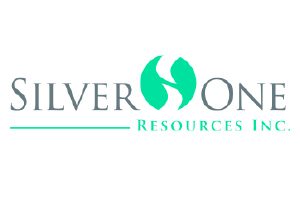 Asset-1Silver-One-300x200px.jpg