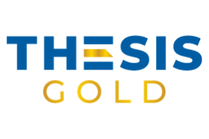 Thesis Gold 300x200