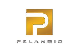 pelangio-exploration-inc_300x200