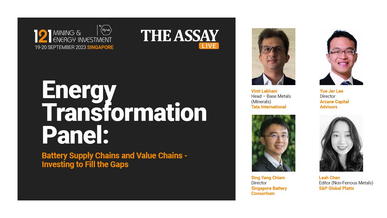 Energy Transformation Panel: Battery Supply Chains and Value Chains - Investing to Fill the Gaps