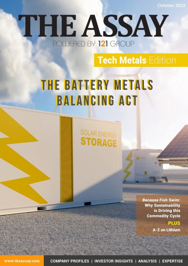 The Assay - The Assay - Tech Metals Edition 2023_Page_001